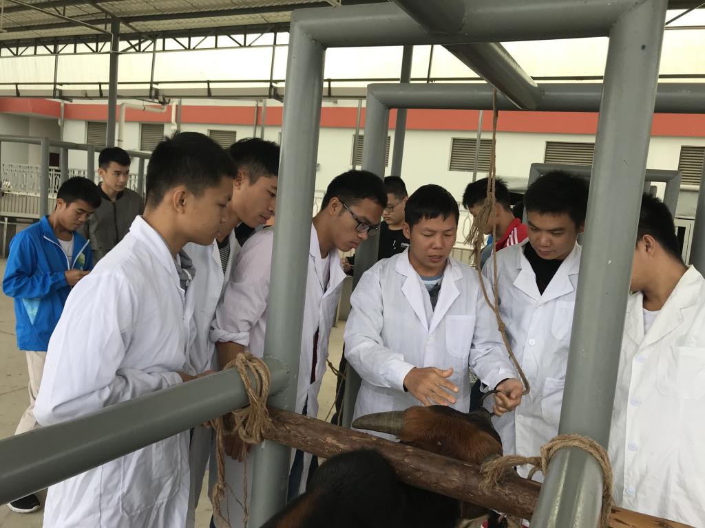 學畜牧技術，走致富之路——畜牧漁業飼料銷售的關鍵策略